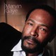 Marvin Gaye (CDx2)