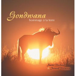 Gondwana