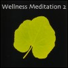 Wellness Meditation vol.2