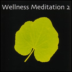 Wellness Meditation vol.2