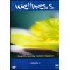 Wellness vol.1 - A beautiful journey to inner relaxation (DVD)