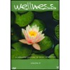 Wellness vol.2 - A beautiful journey to inner relaxation (DVD)